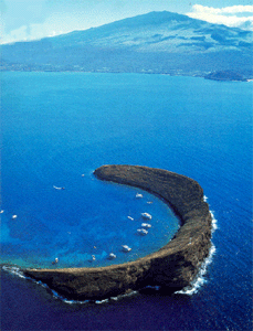 Molokini Shoal -- one of Hawai'i's premier MPAs