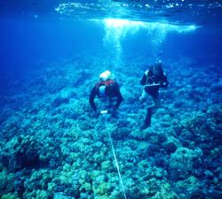 Leon Hallacher (UHH) & John Kahiapo (DAR) set up transect