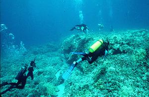 Conducting fish surveys during QUEST